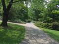 walking in the park