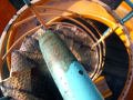 Picture of slide taken above 