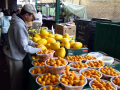 oranges