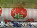 plastic tablecloths