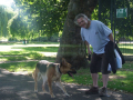 man playing with dog