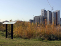 Park with information board. High rise in background