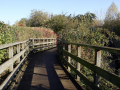 boardwalk over wetland