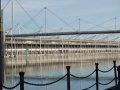 Excel centre across the Dock plus bridge