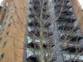 Vertical tree