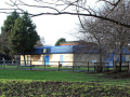 the farm