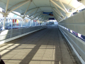Excel Bridge	