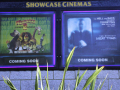 posters outside behind plant