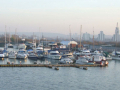 boats in the marina