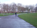The main alley