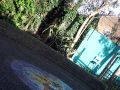 the garden