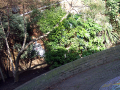  another angle of the garden