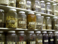 Pots of Eastern herbal medicine