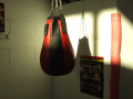 Punch bag shadow