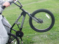 Boy pulling a wheelie on a bmx bike