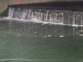 the water runoff