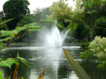 Fountain through plants