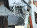 close up shot of barbed wire