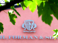 A pink building with the words H FOREMAN & SONS in silver on it, with green leaves in the foreground