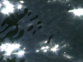 light reflecting off water
