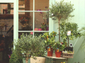 Florists