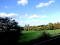Angled landscape shot of the grass and sky