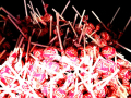 Little Pink Vimto lolly pops