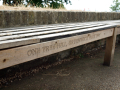 One tree hill bench