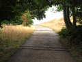 Pathway leading around the corner
