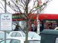 Bus stop