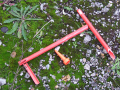 Vegetation and rubbish