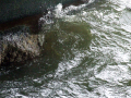 Water lapping