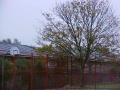 From A Distance