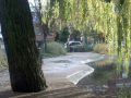 Pond Path 