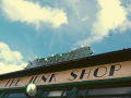 The Junk Shop