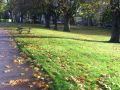Millfields Park