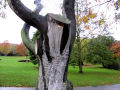 Springfield Park
