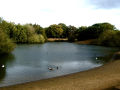 Hollow Ponds	