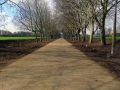 Marsh Lane Playing Field	