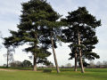 Avery Hill Park 