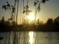 Sutcliffe Nature Reserve