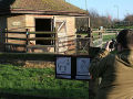 Newham City Farm