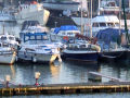 Gallions Point Marina