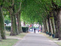 Central Park